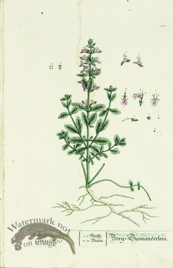 Blackwell German 141